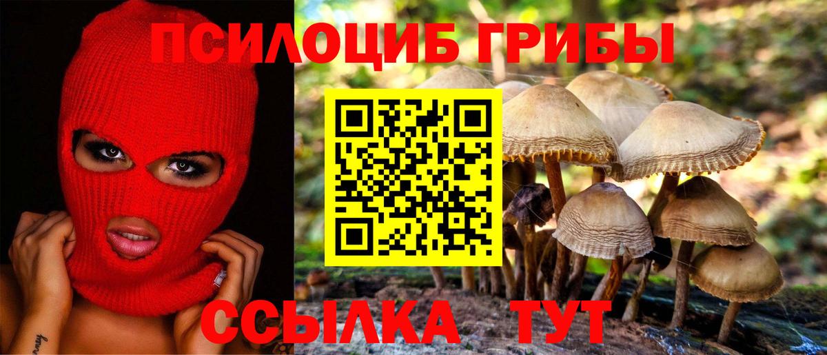 Галлюциногенные грибы Cubensis Балахна
